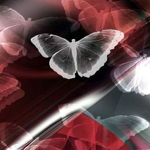 Meet your Posher, Candy